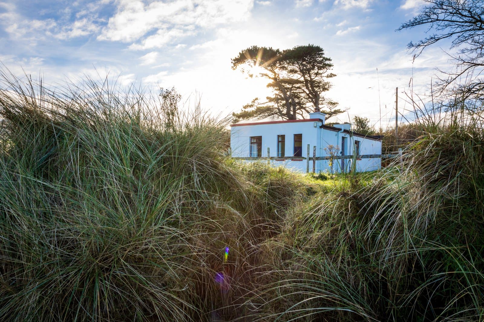 Hogans Cottage exterior